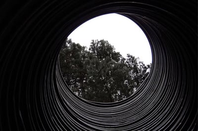 Trees viewed through a tube in black and white