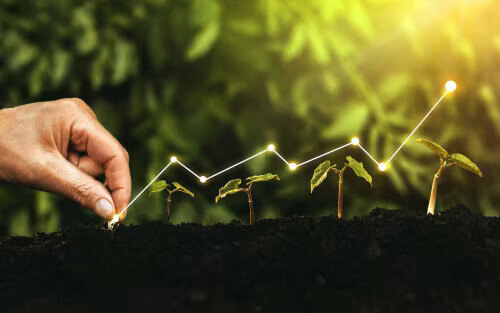 An image of seedlings growing with a graph superimposed on top