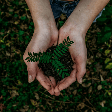 Read: health messaging builds support for climate action