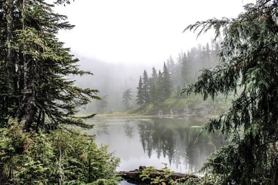 A lake surrounded by firs