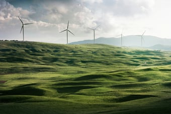 Net Zero Community for Government