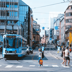 Pedestrian crossing on road