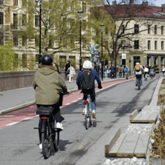 Cyclists riding bikes on road