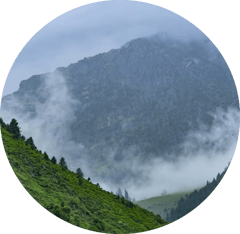 Foggy mountainside