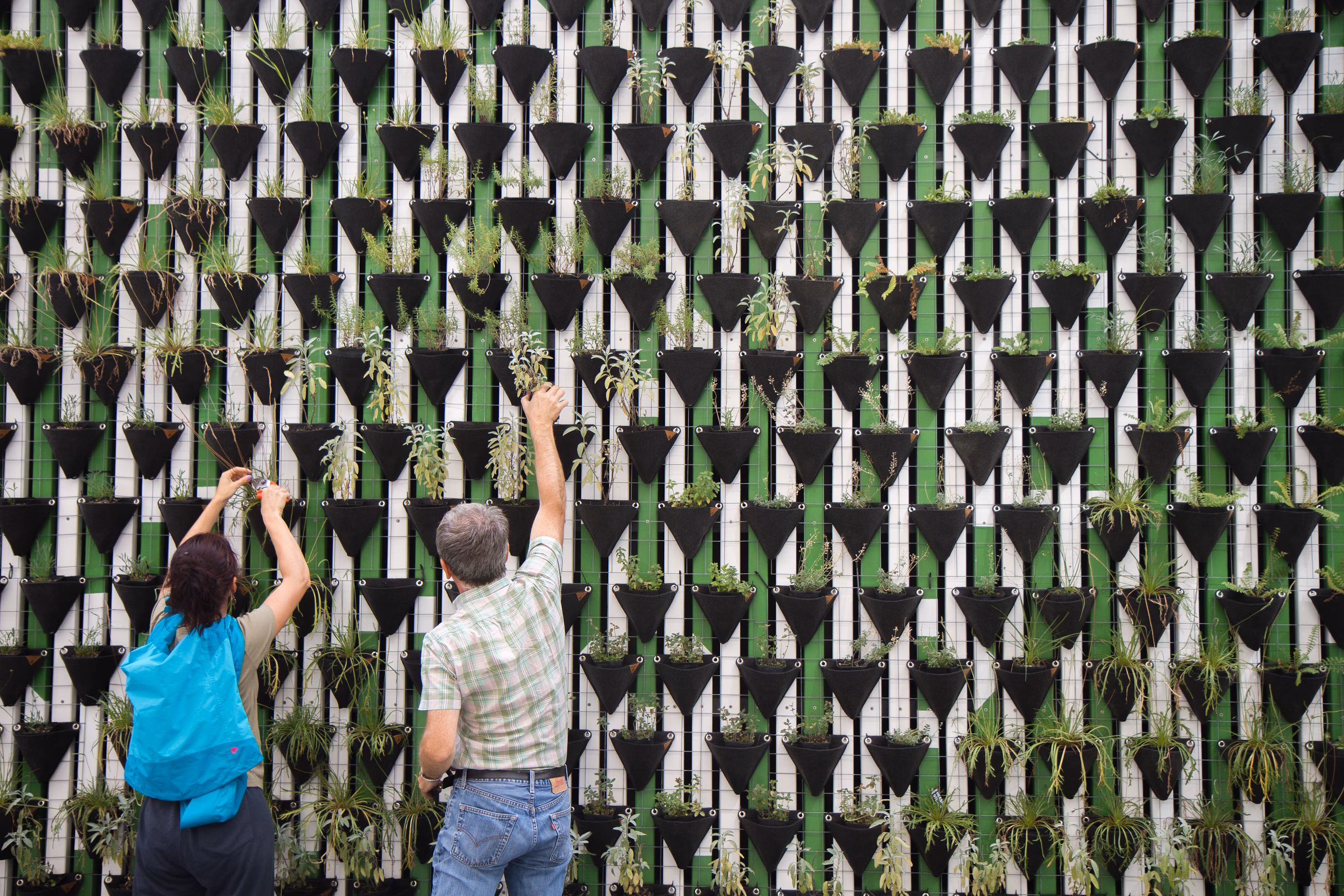 Image of two people planting plants 